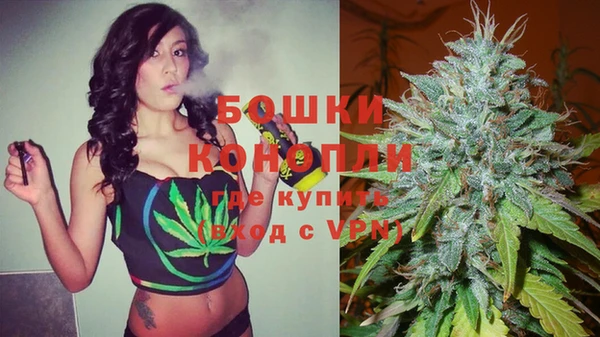 PSILOCYBIN Магас