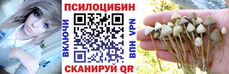 Псилоцибиновые грибы Psilocybine cubensis  OMG как зайти  Котово 